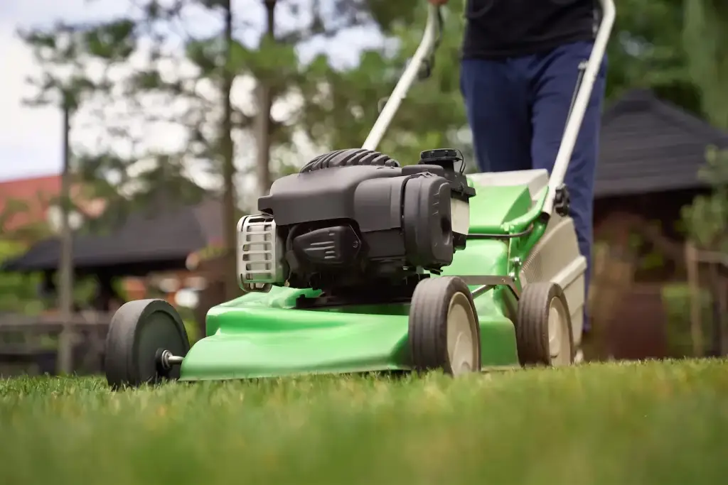 Lawn Mowing