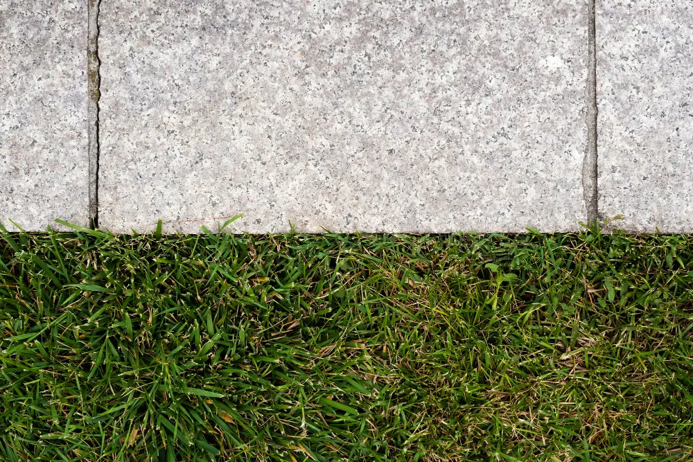 Lawn Edging